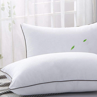 Snoozscape™ Luxury Pillow